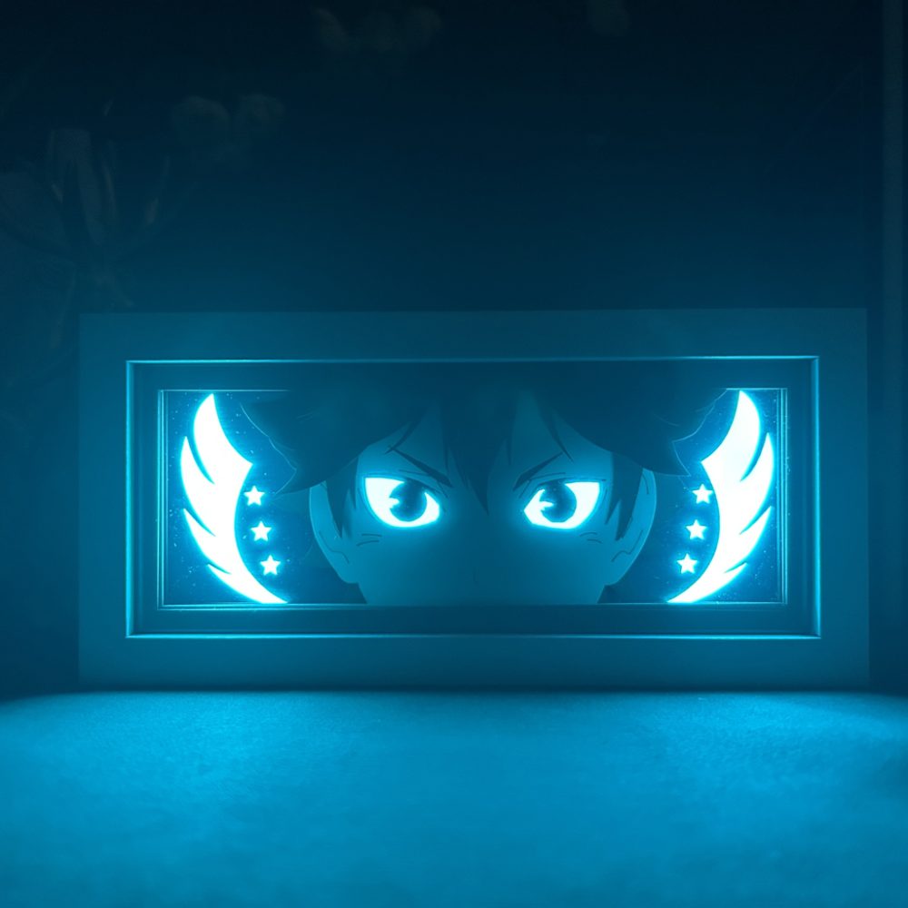 Shoyo Hinata Light Box